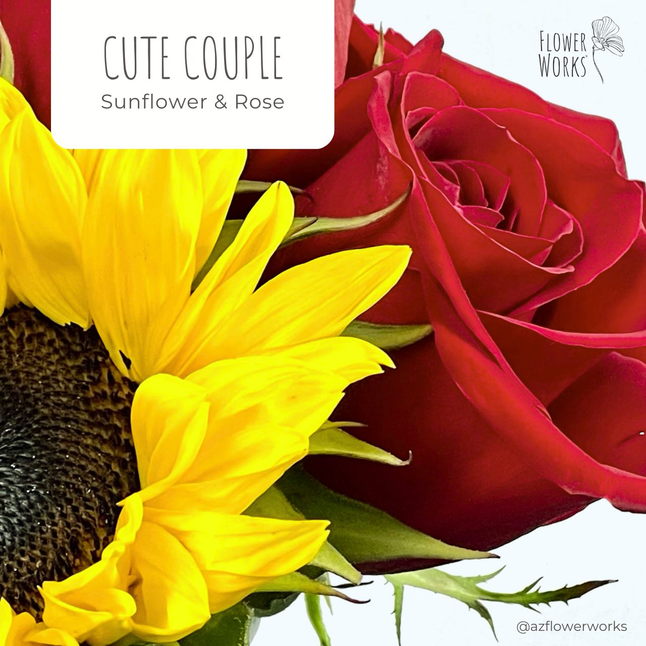 Cute Couple