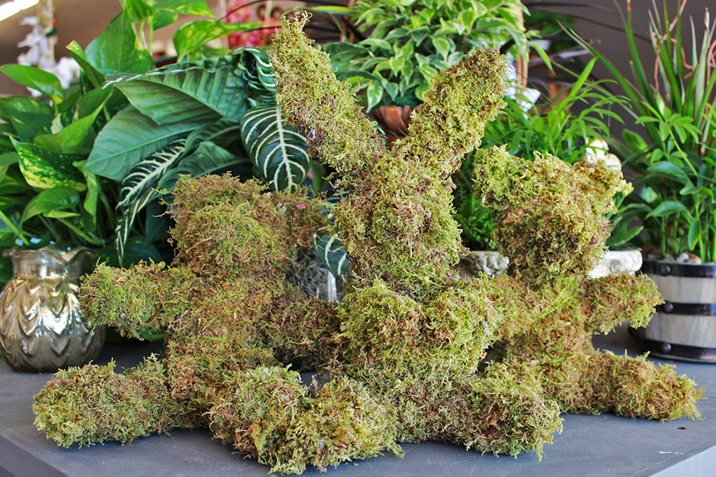 Hand-made Moss Plushies