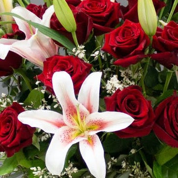 dozen white lilies Deluxe Red Dozen Roses – Flower Works LLC