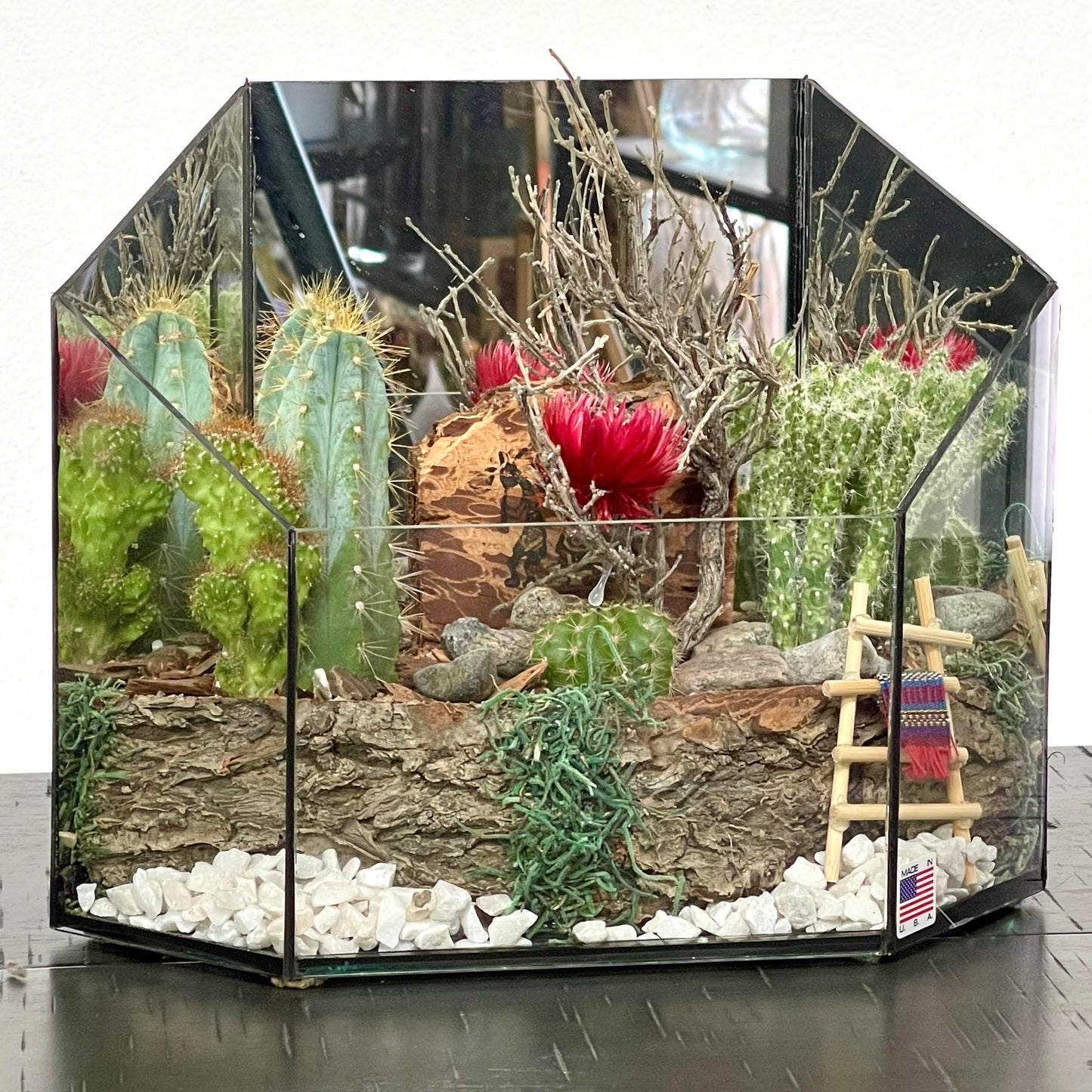 Desert Garden (Medium)