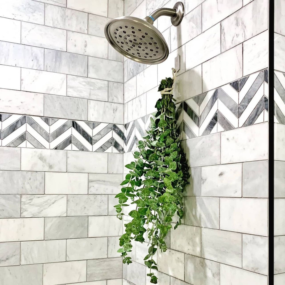 Fresh Eucalyptus Shower Bundle. – Flower Works LLC